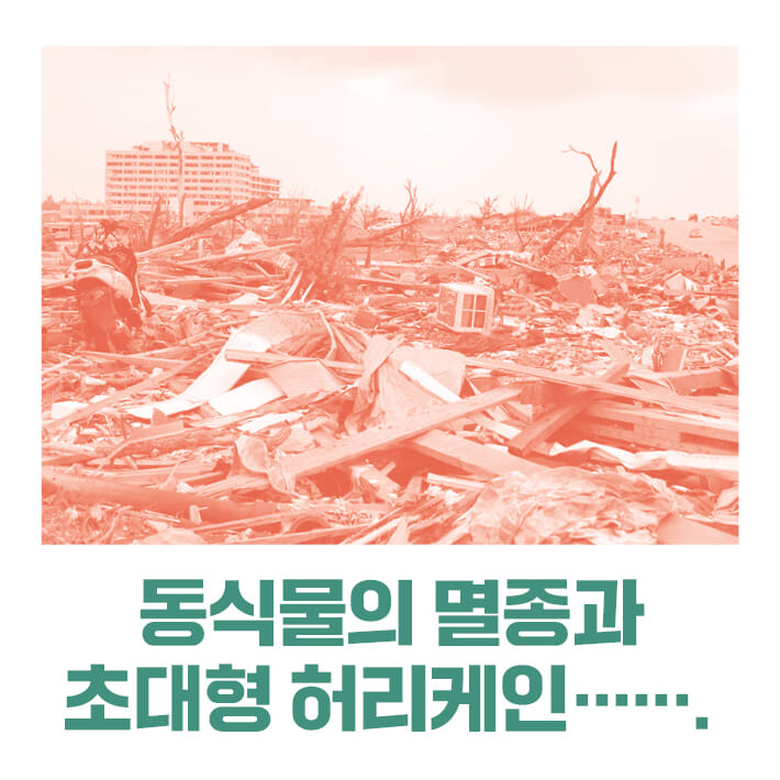카드뉴스2