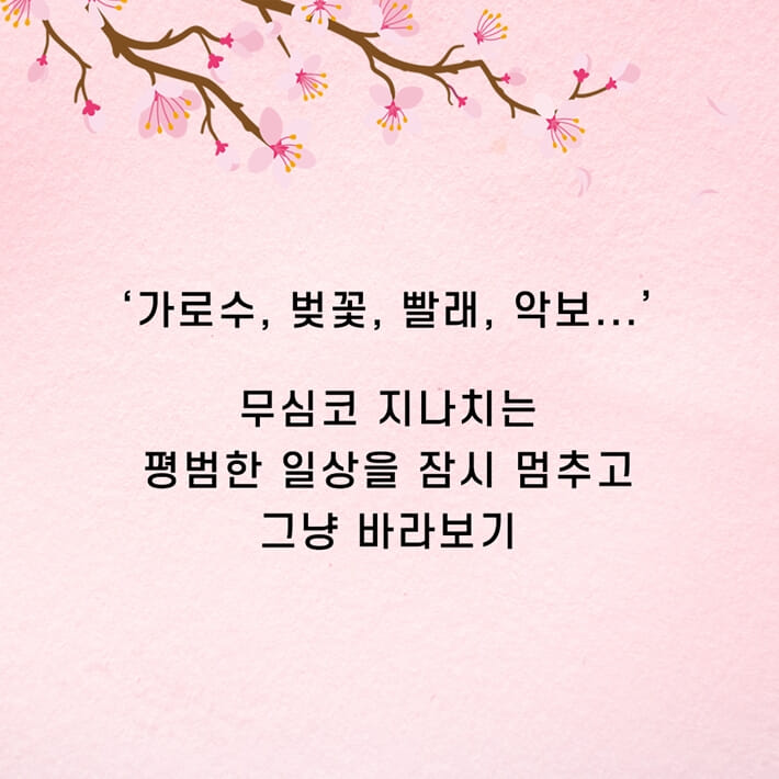 카드뉴스4