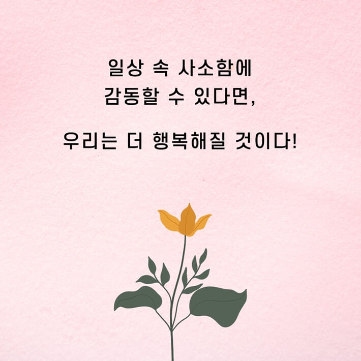 카드뉴스6