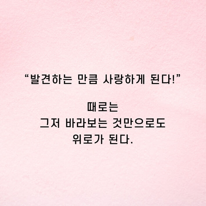 카드뉴스7