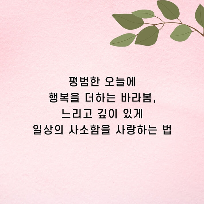 카드뉴스8