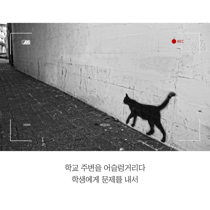 카드뉴스5