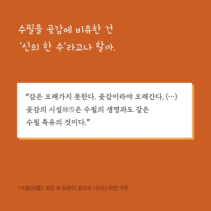 카드뉴스7