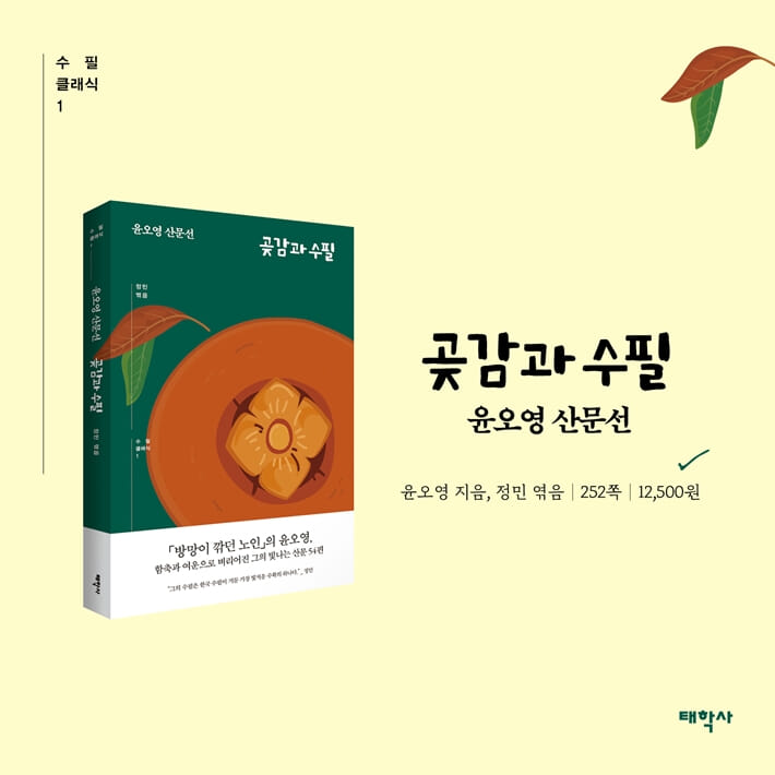 카드뉴스10