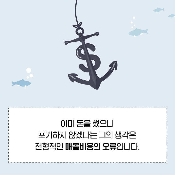 카드뉴스4
