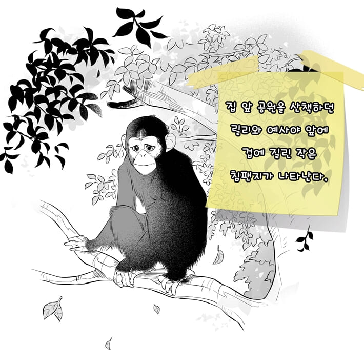 카드뉴스1