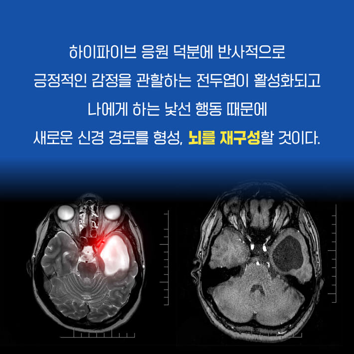 카드뉴스13