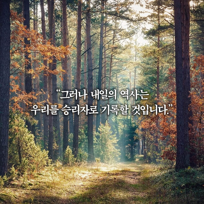 카드뉴스7