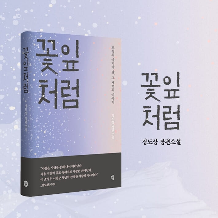 카드뉴스11