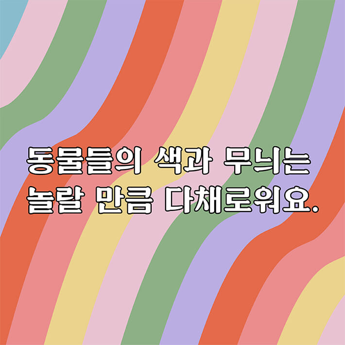 카드뉴스1