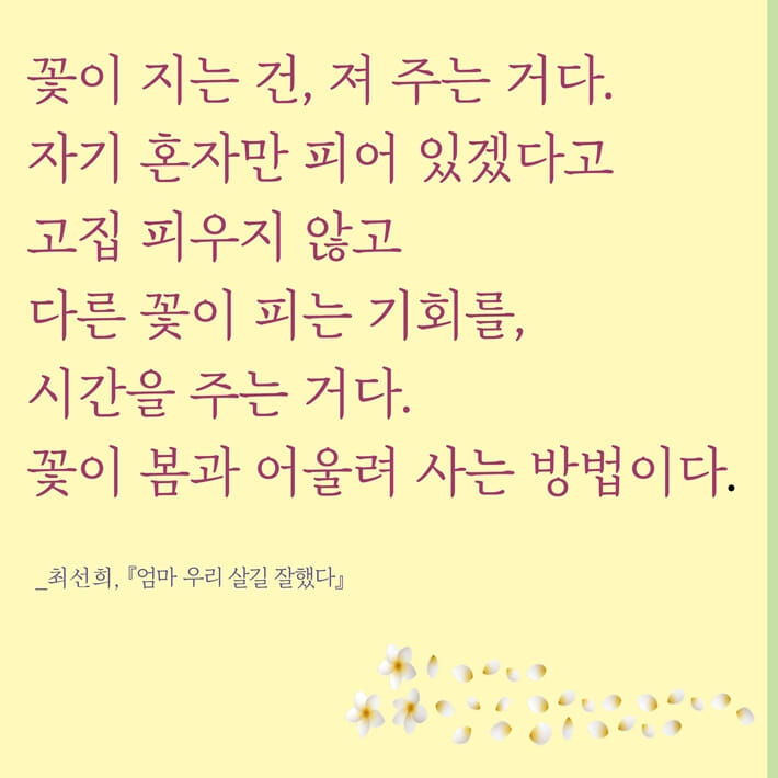 카드뉴스6