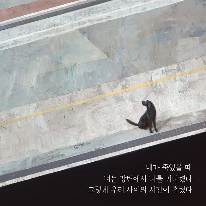 카드뉴스3