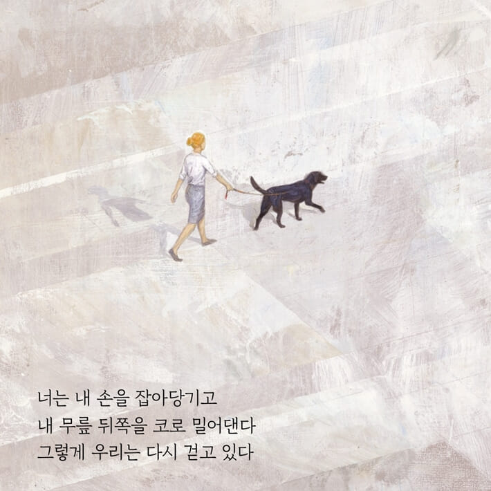 카드뉴스6