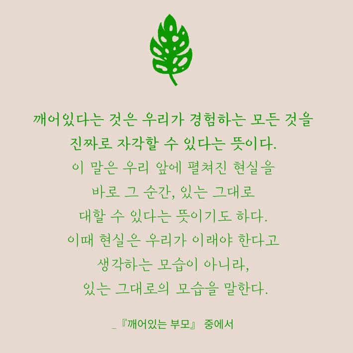 카드뉴스4