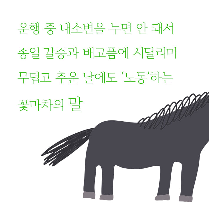카드뉴스0