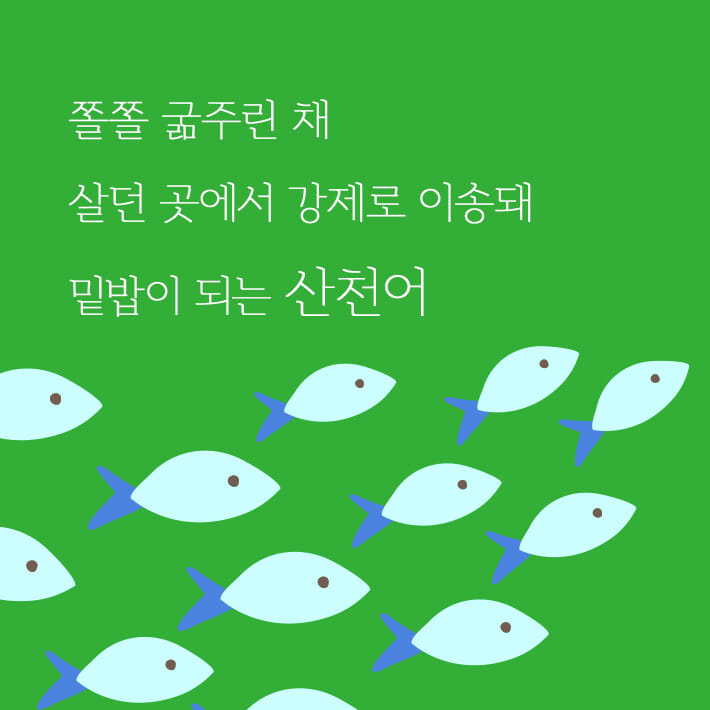 카드뉴스1