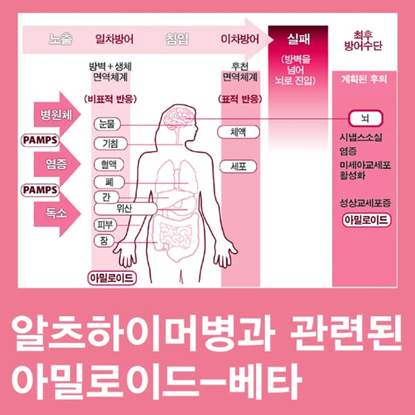 카드뉴스4