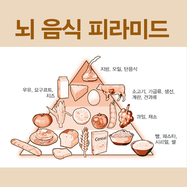 카드뉴스8