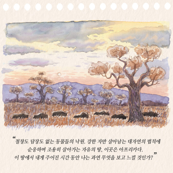 카드뉴스1