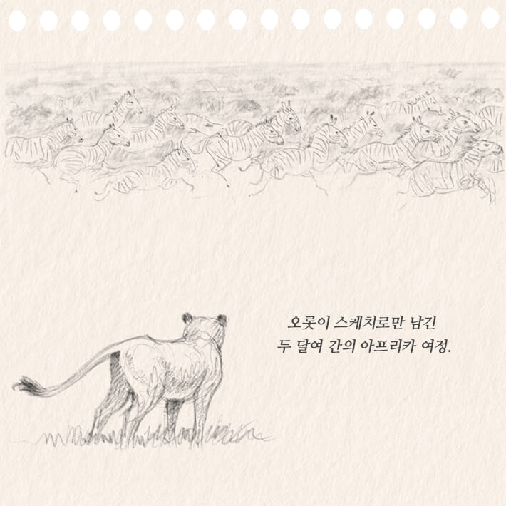카드뉴스2