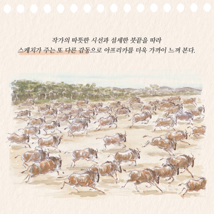 카드뉴스7
