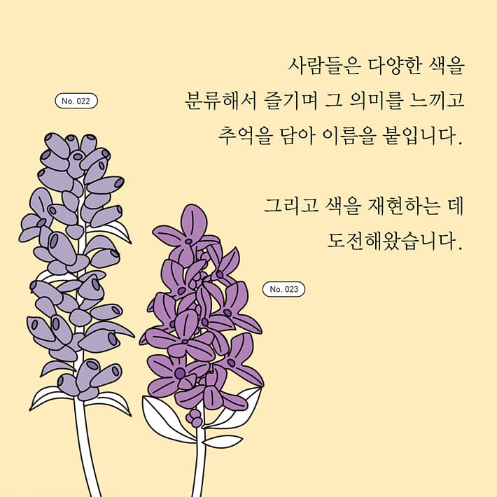 카드뉴스3