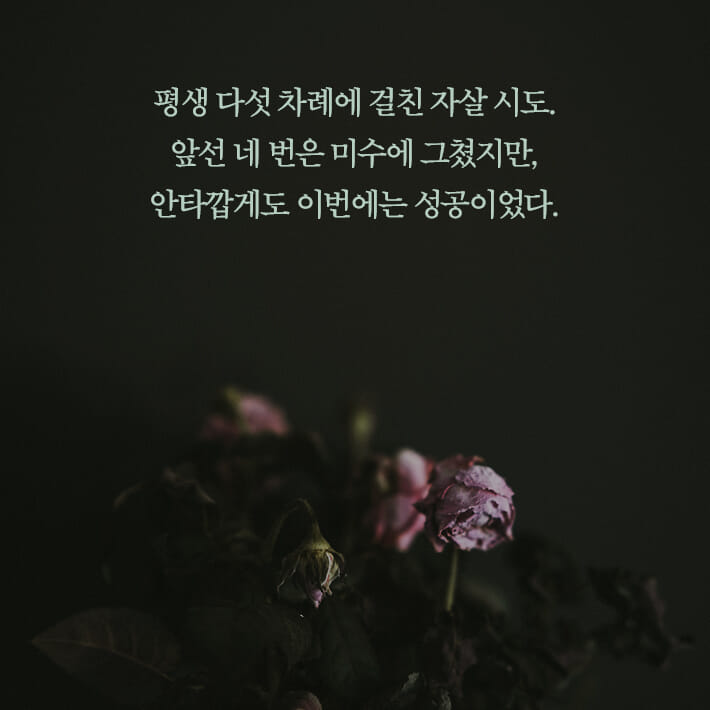 카드뉴스1