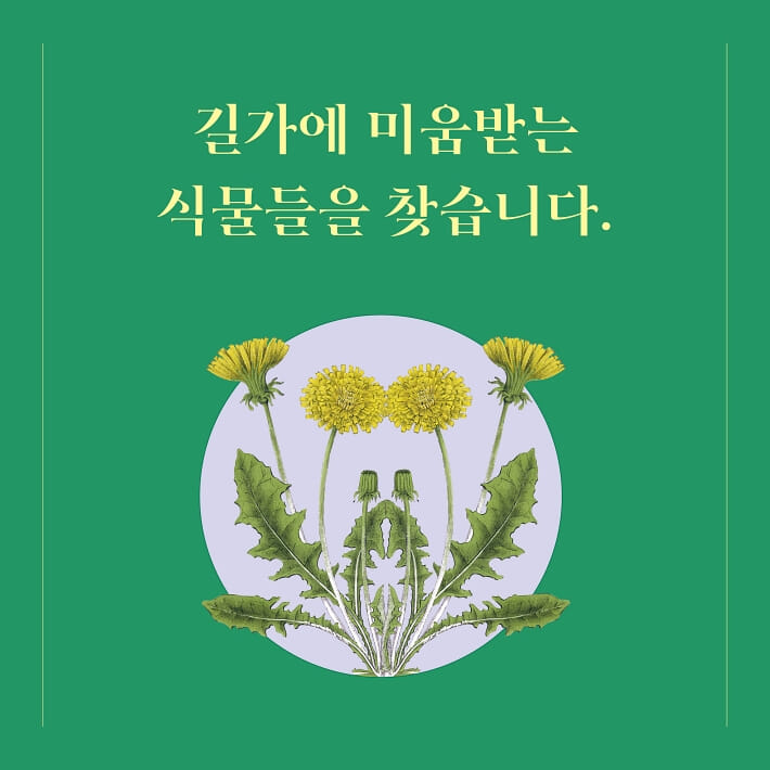 카드뉴스0