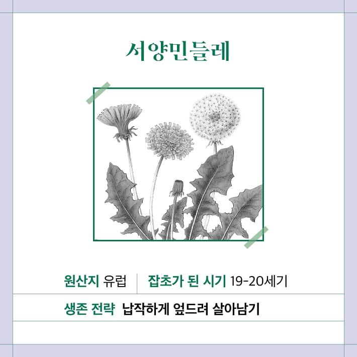 카드뉴스1