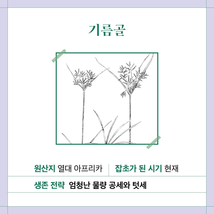 카드뉴스2