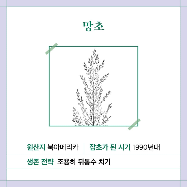 카드뉴스3