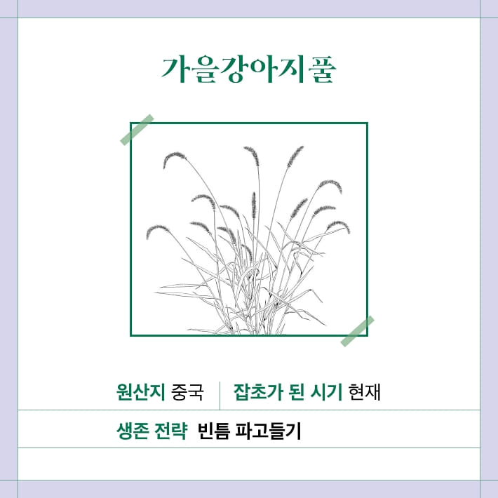 카드뉴스4