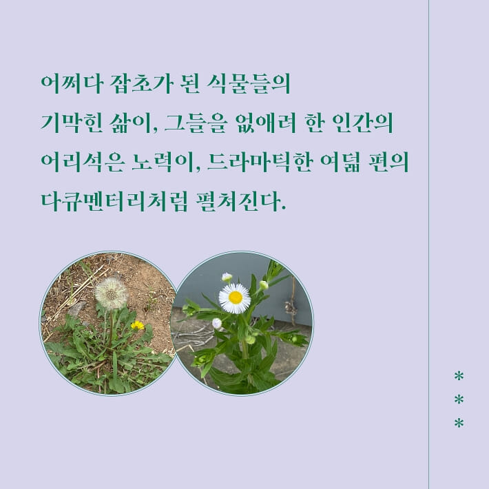 카드뉴스6