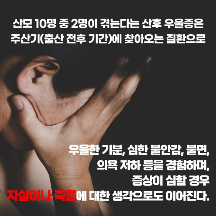 카드뉴스1