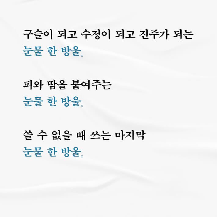 카드뉴스5
