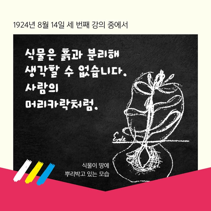 카드뉴스5
