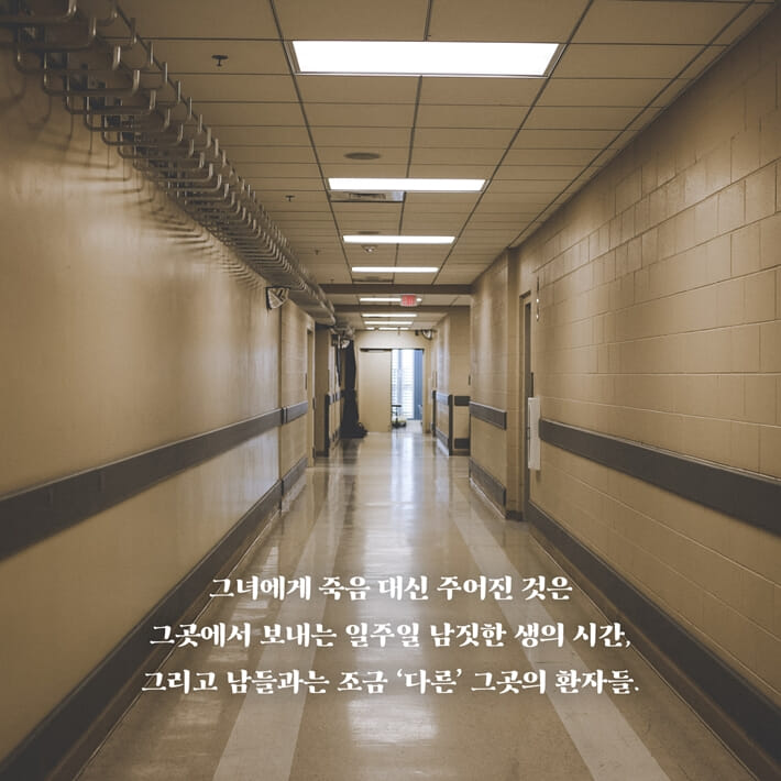 카드뉴스2