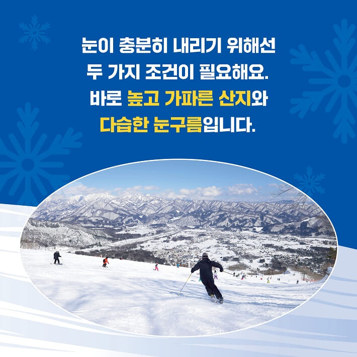 카드뉴스3