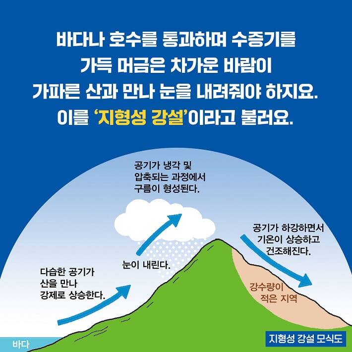 카드뉴스4