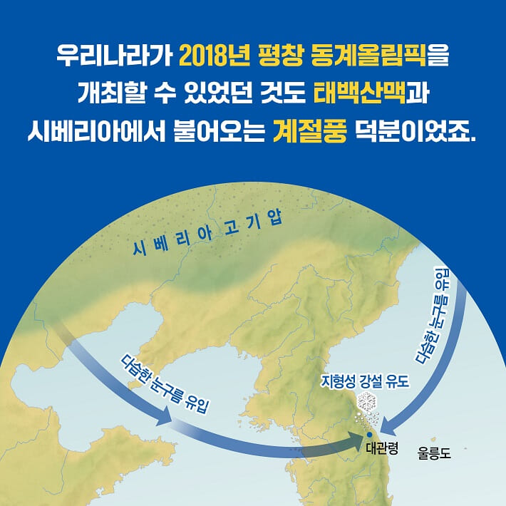 카드뉴스5
