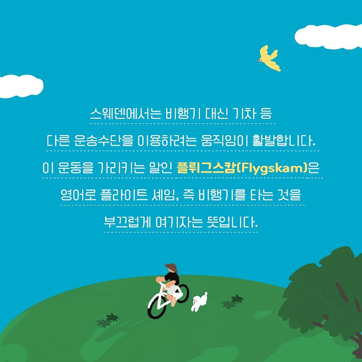 카드뉴스1