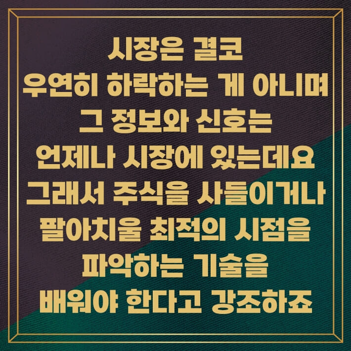 카드뉴스4