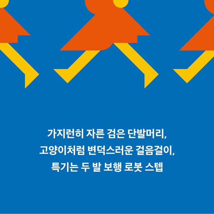 카드뉴스3