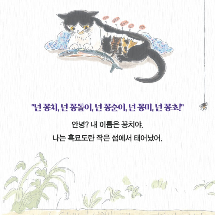 카드뉴스0
