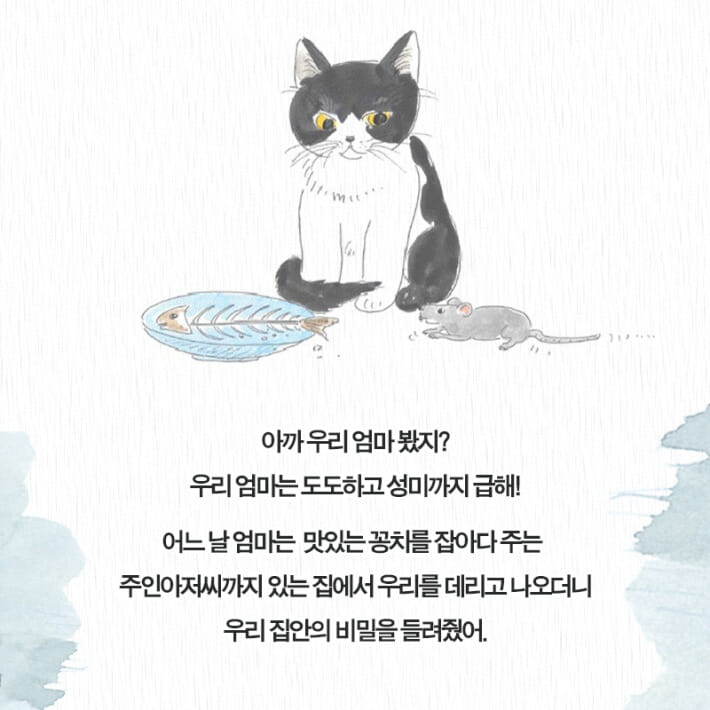 카드뉴스2