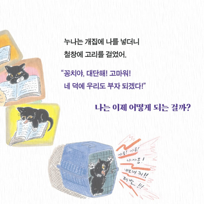 카드뉴스5