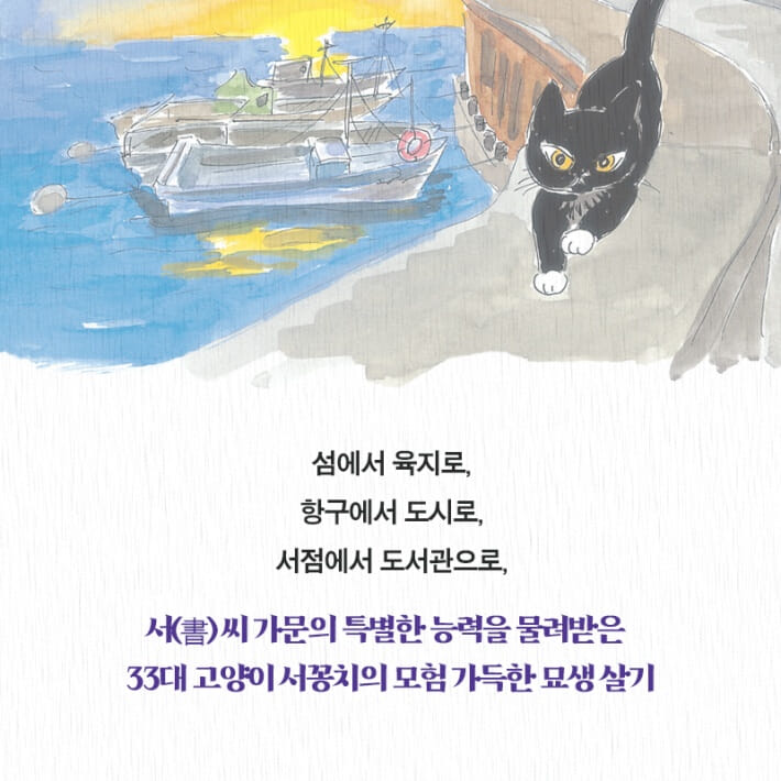 카드뉴스6