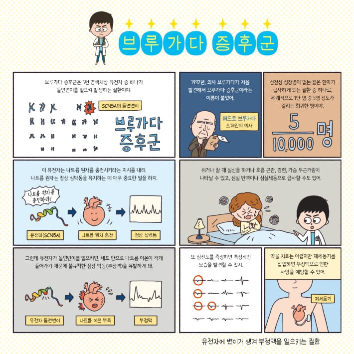 카드뉴스6