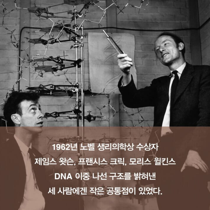 카드뉴스0