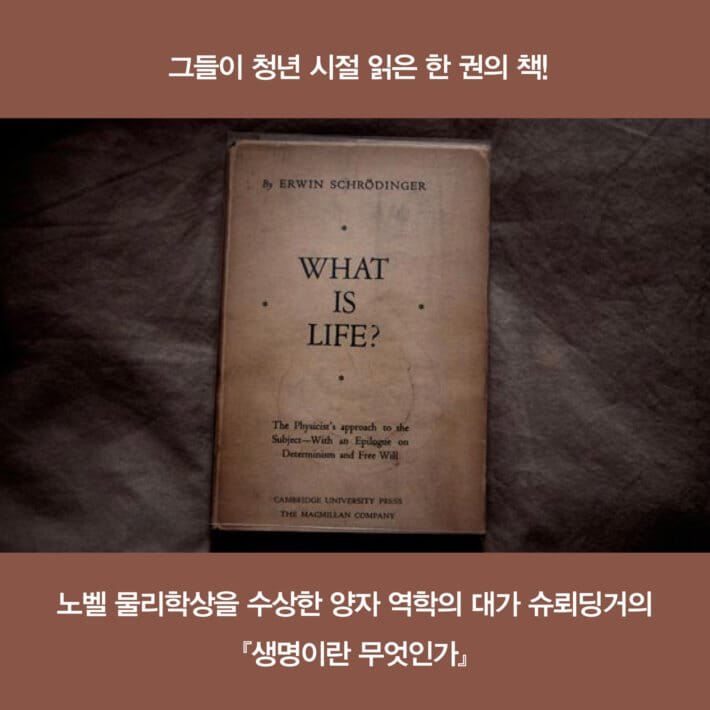 카드뉴스1